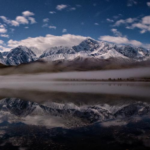 Photo #4411693