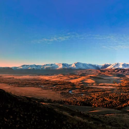 Photo #4411743