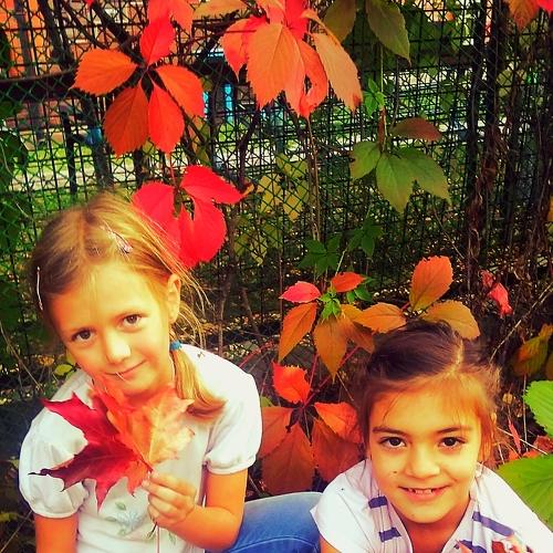 Photo #4411959
