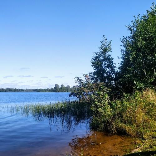 Photo #4412029