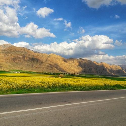 Photo #4412038