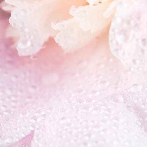 Photo #4412047