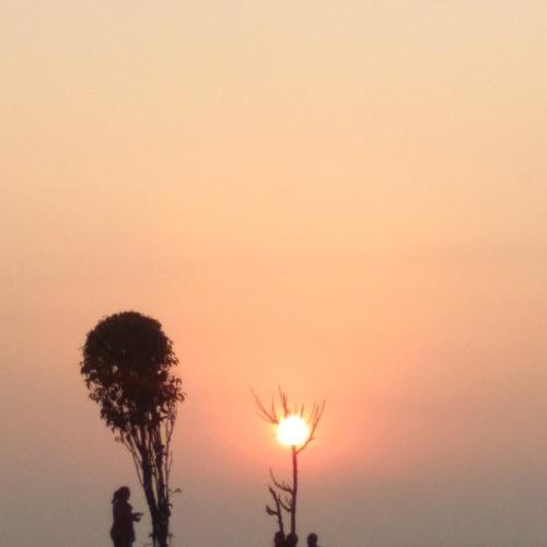 Photo #4412067