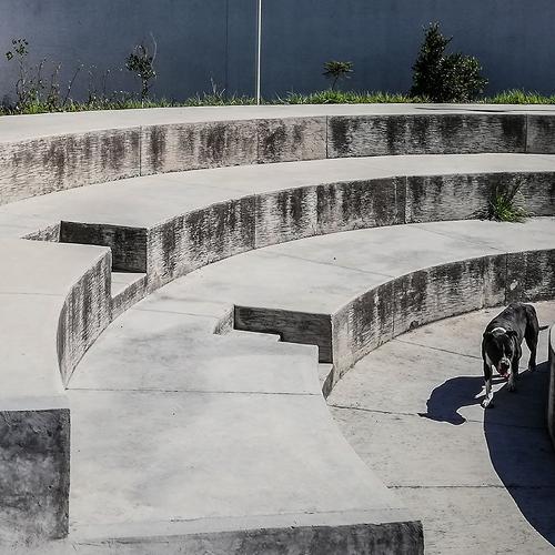 Photo #4412404