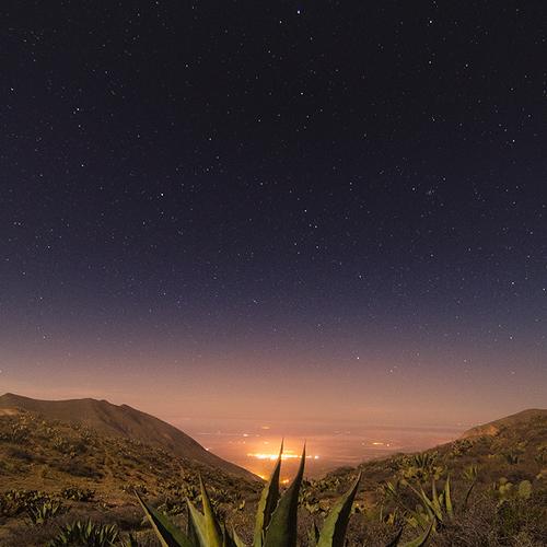 Photo #4412599