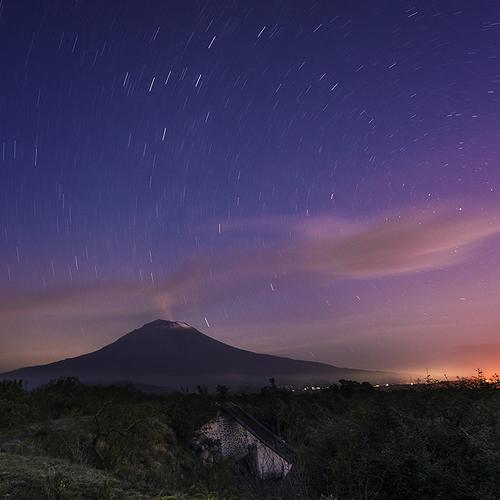 Photo #4412602