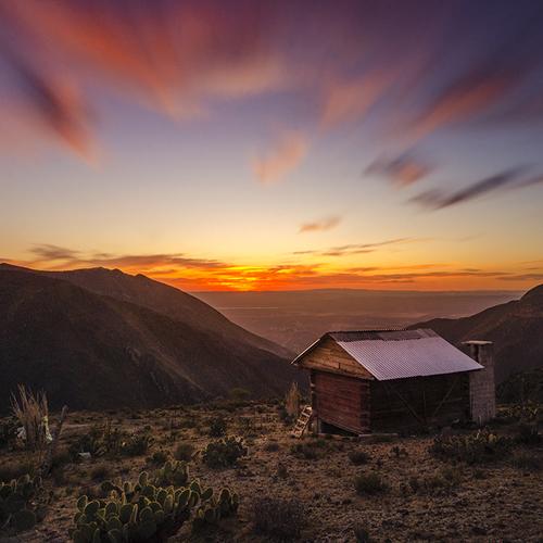 Photo #4412652