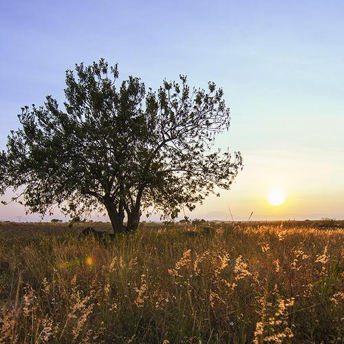 Photo #4412653