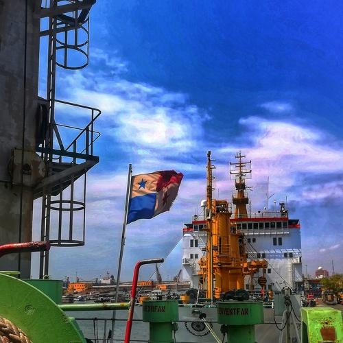 Photo #4412903