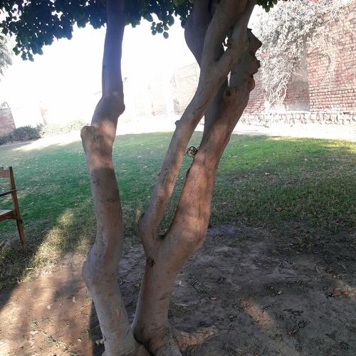 Photo #4413531