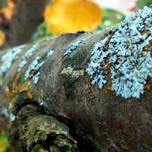 Photo #4413652