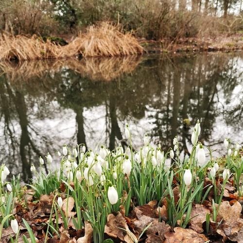 Photo #4413795
