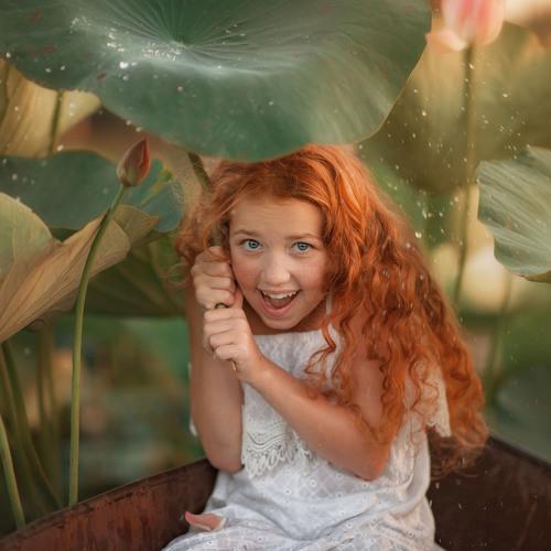 Photo #4413923