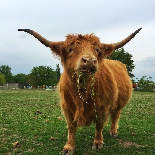 Photo #4413944