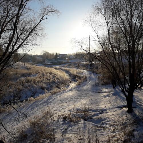Photo #4413984