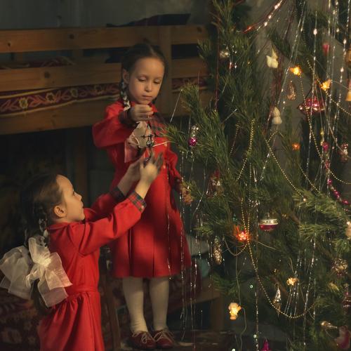 Photo #4413989