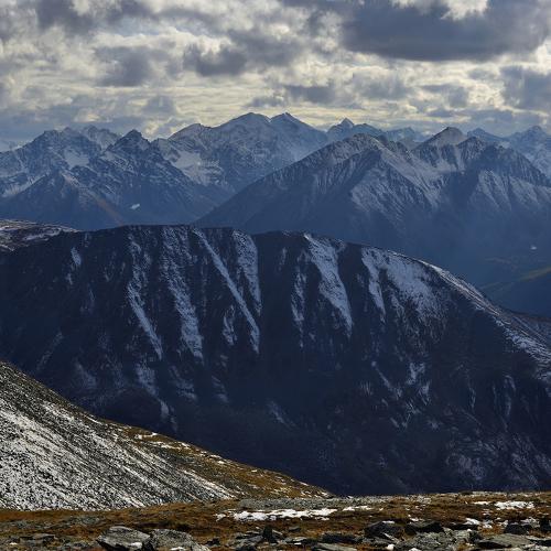 Photo #4414002