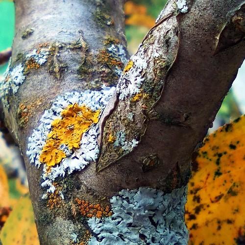 Photo #4414005