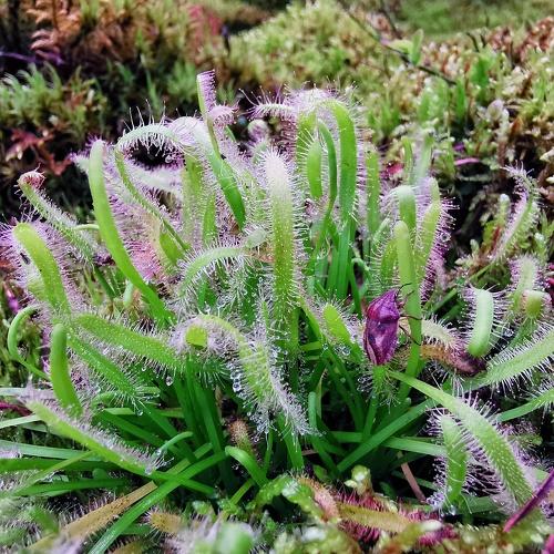 Photo #4414007