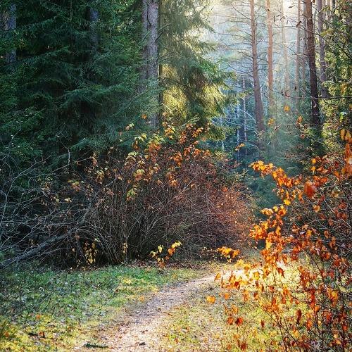 Photo #4414357