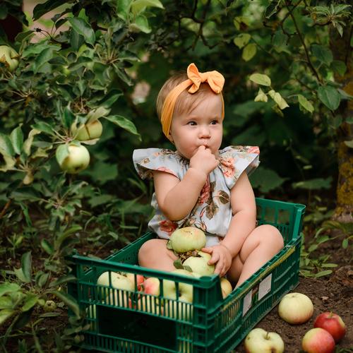 Photo #4414383