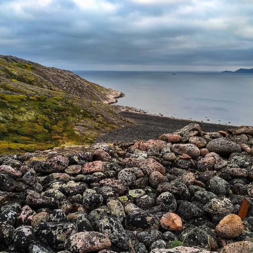Photo #4414432