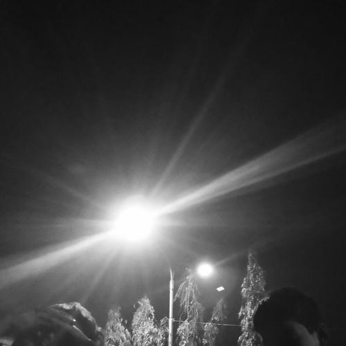Photo #4415239