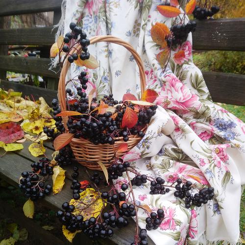 Photo #4415362