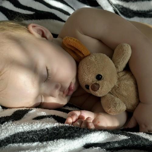 Photo #4415432