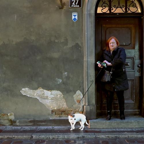 Собака выгуливает хозяйку