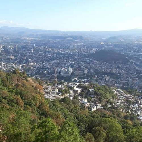 Photo #4415581