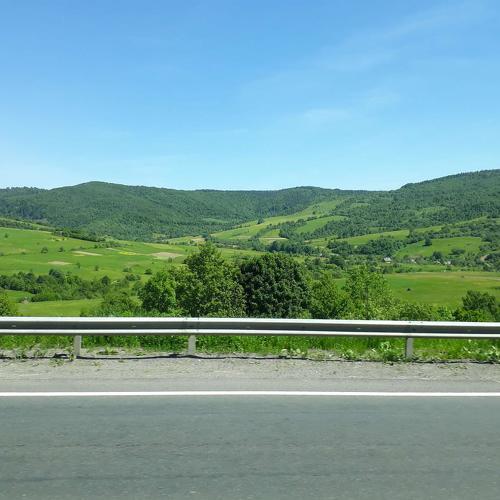 Photo #4415606