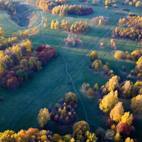 Photo #4415964