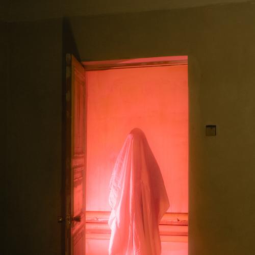 Photo #4416039