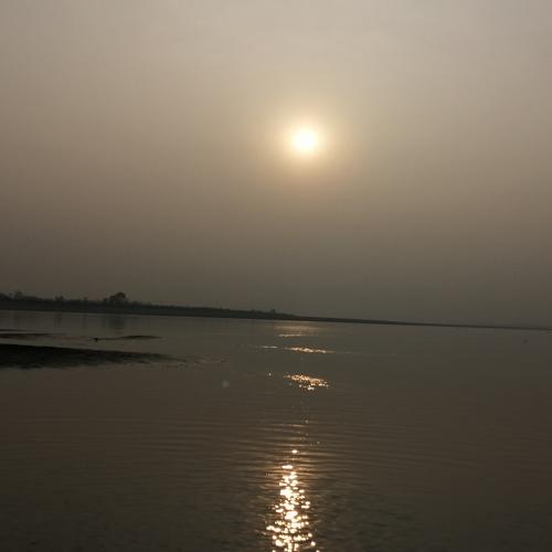 Photo #4416055