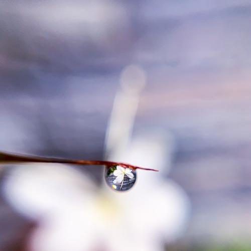 Every drop counts