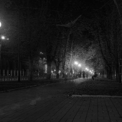 Photo #4416331