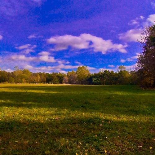Photo #4416422