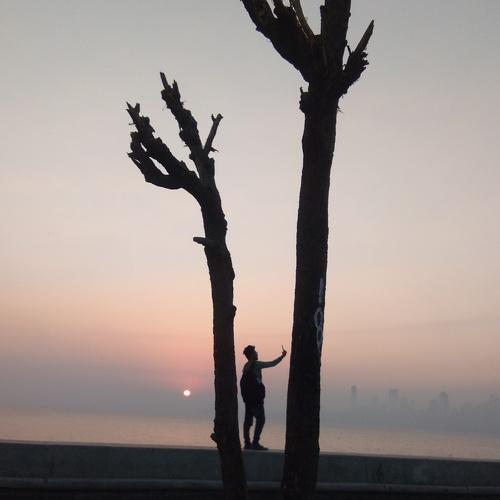 Photo #4416560