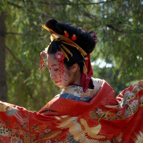 Photo #4416685