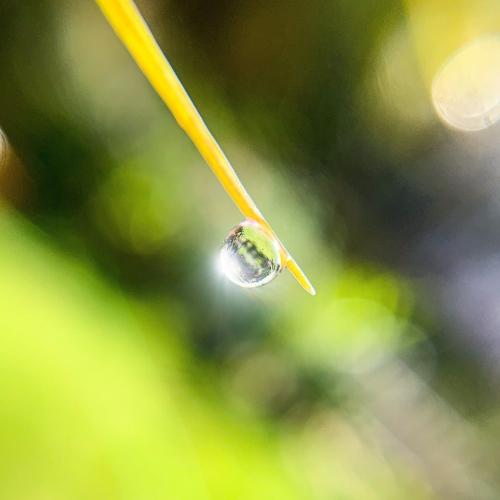 Photo #4416687