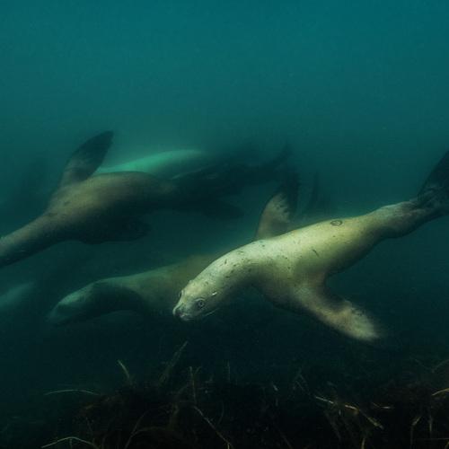 Photo #4416700
