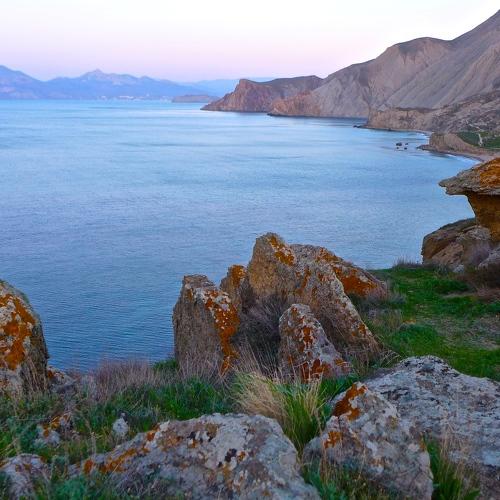 Photo #4416832