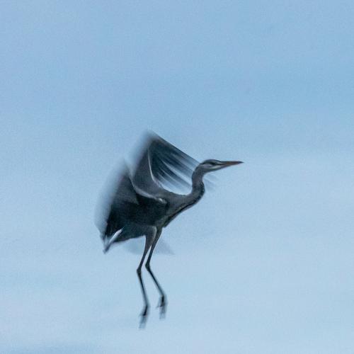 Photo #4417417