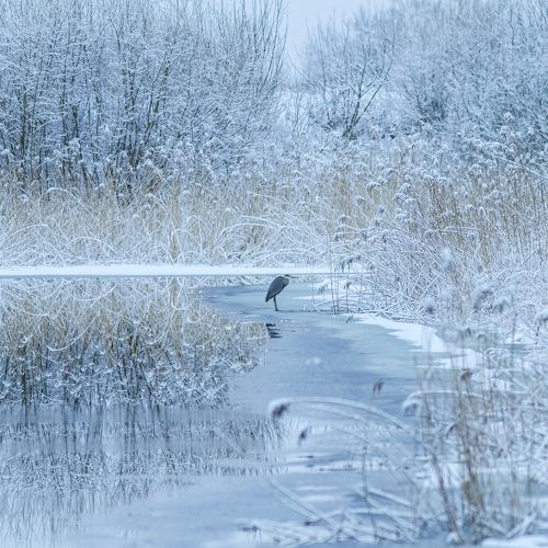 Photo #4417830