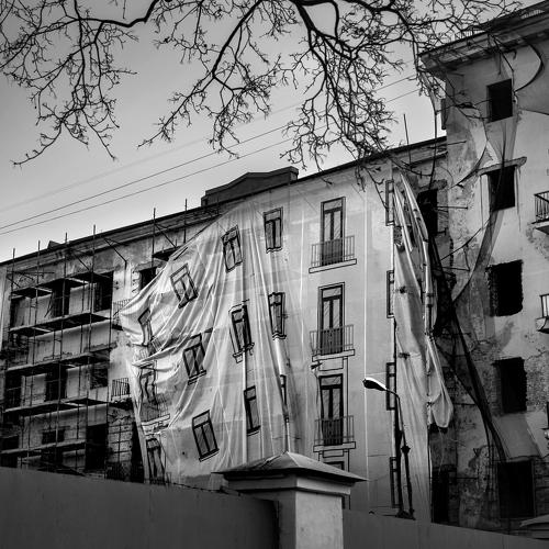 Photo #4418006
