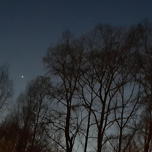 Photo #4418203