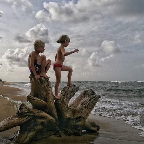 Photo #4418337