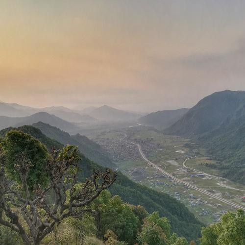 Photo #4418404