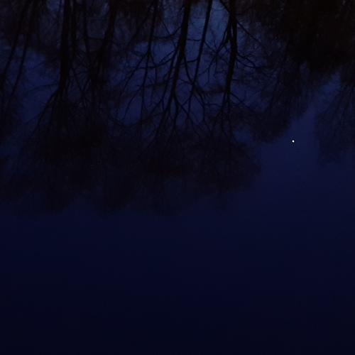 Photo #4418600